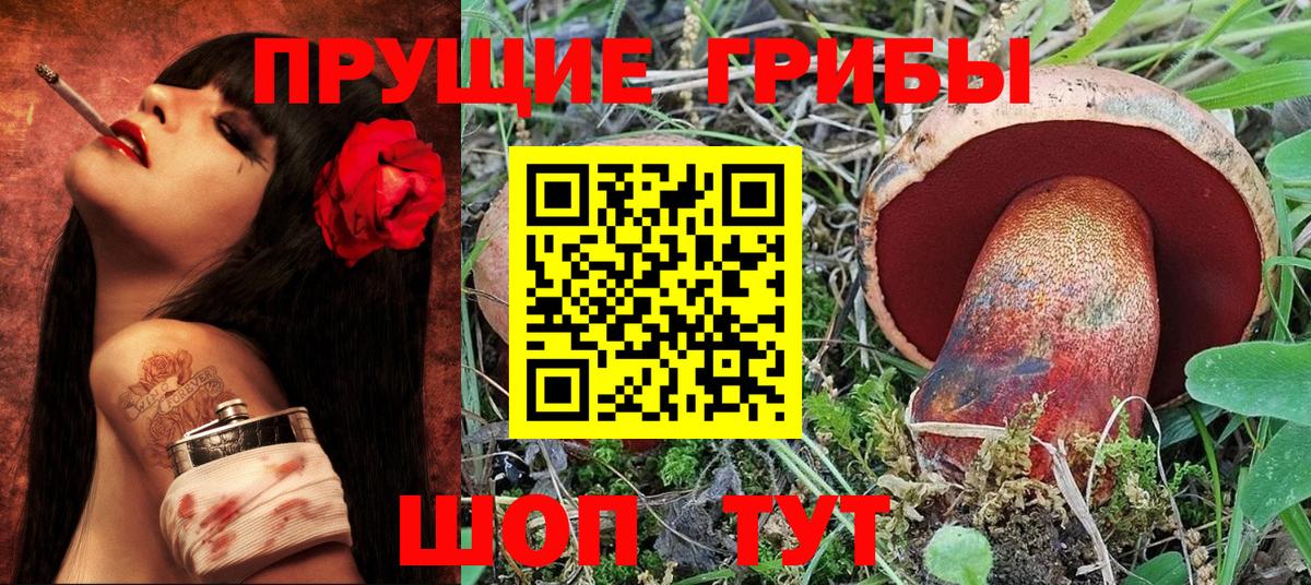 Псилоцибиновые грибы прущие грибы Чернушка