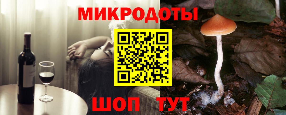 Псилоцибиновые грибы Psilocybe  Вход с VPN  Чернушка  Псилоцибиновые грибы Psilocybe 